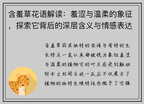 含羞草花语解读：羞涩与温柔的象征，探索它背后的深层含义与情感表达